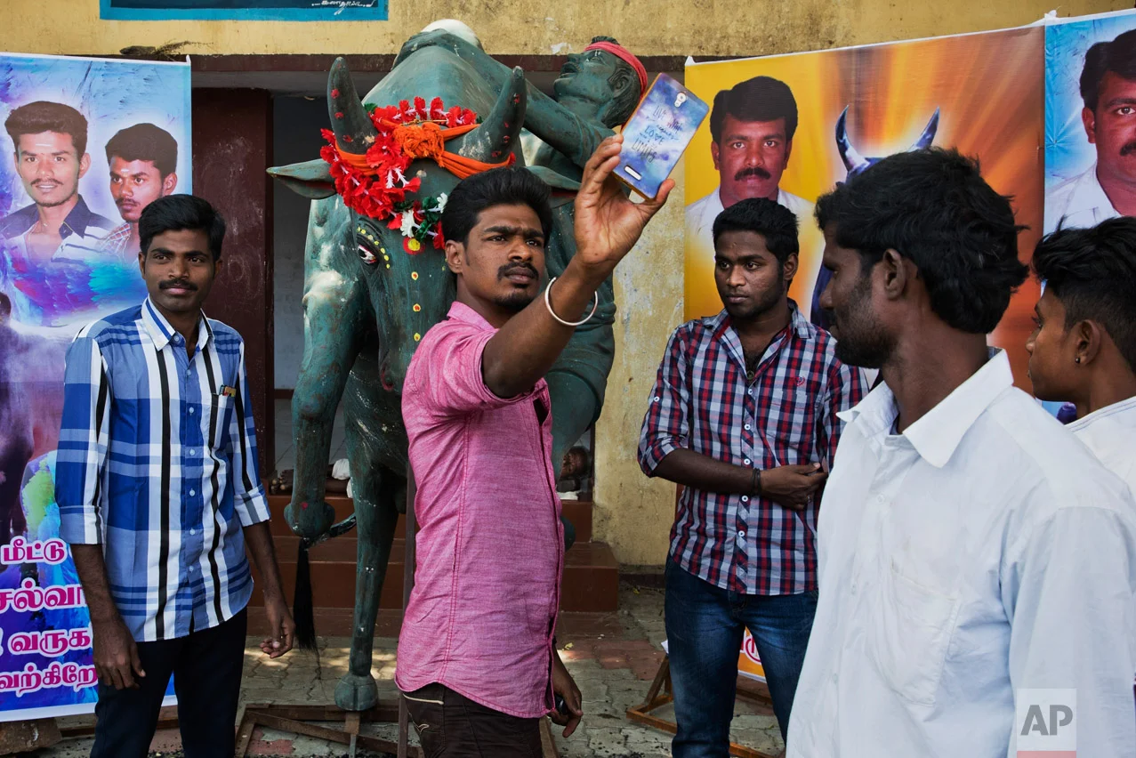 In this Feb. 10, 2017 photo, Jallikattu supporters take snapshots near a sculpture dedicated to the traditional bull-taming festival, near Madurai, Tamil Nadu state, India. (AP Photo/Bernat Armangue)