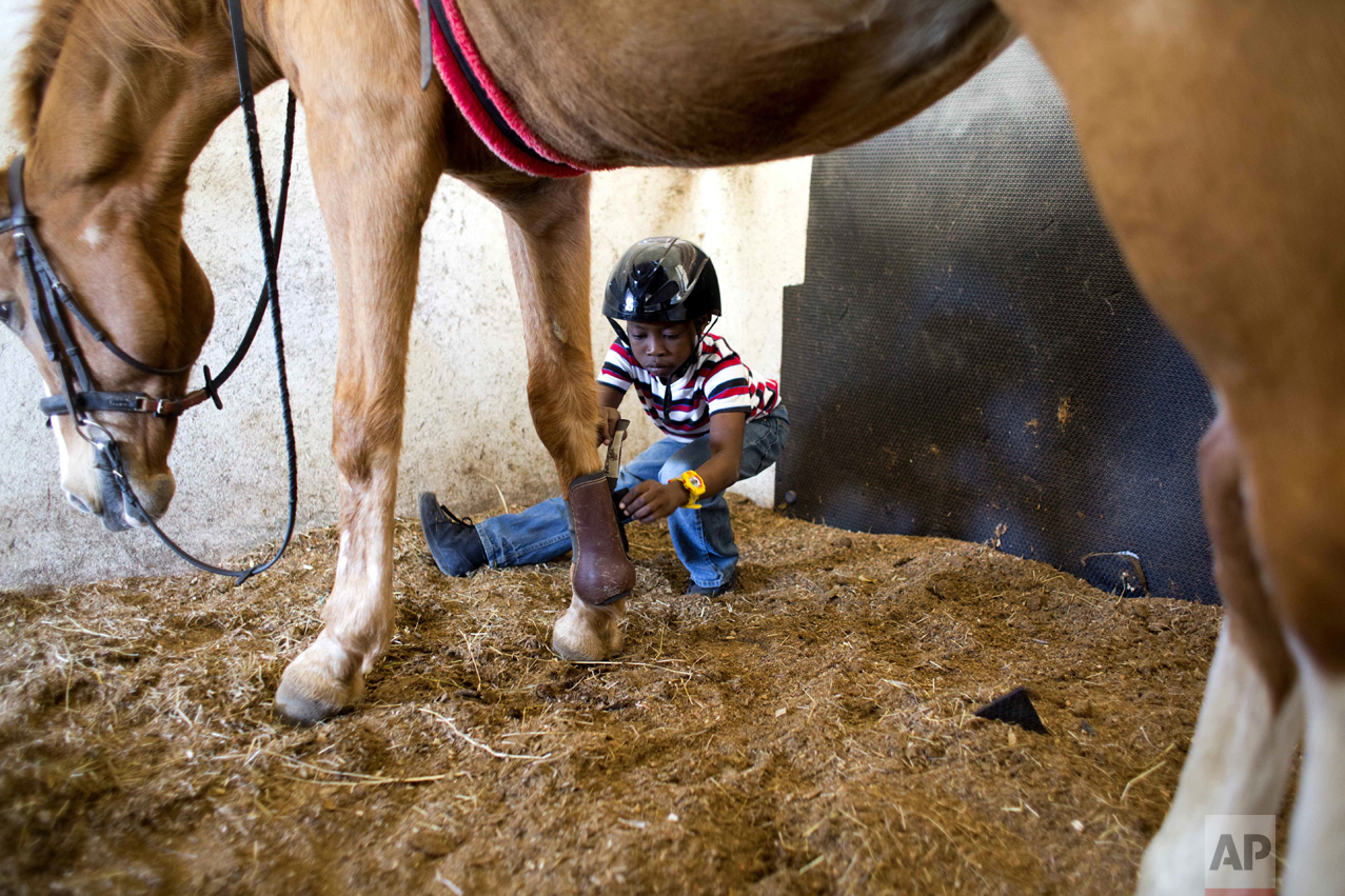 Horse Therapy