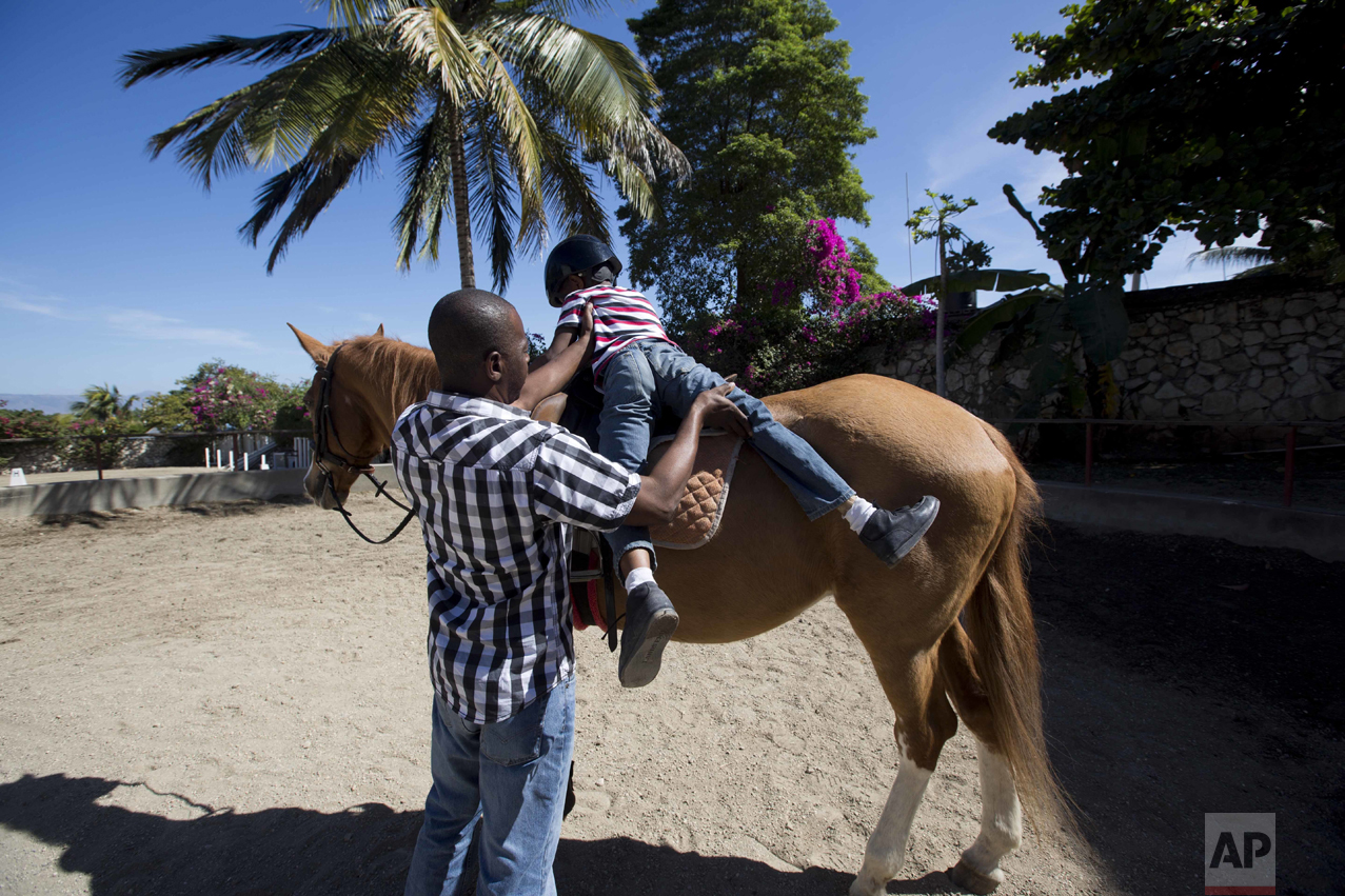 Horse Therapy