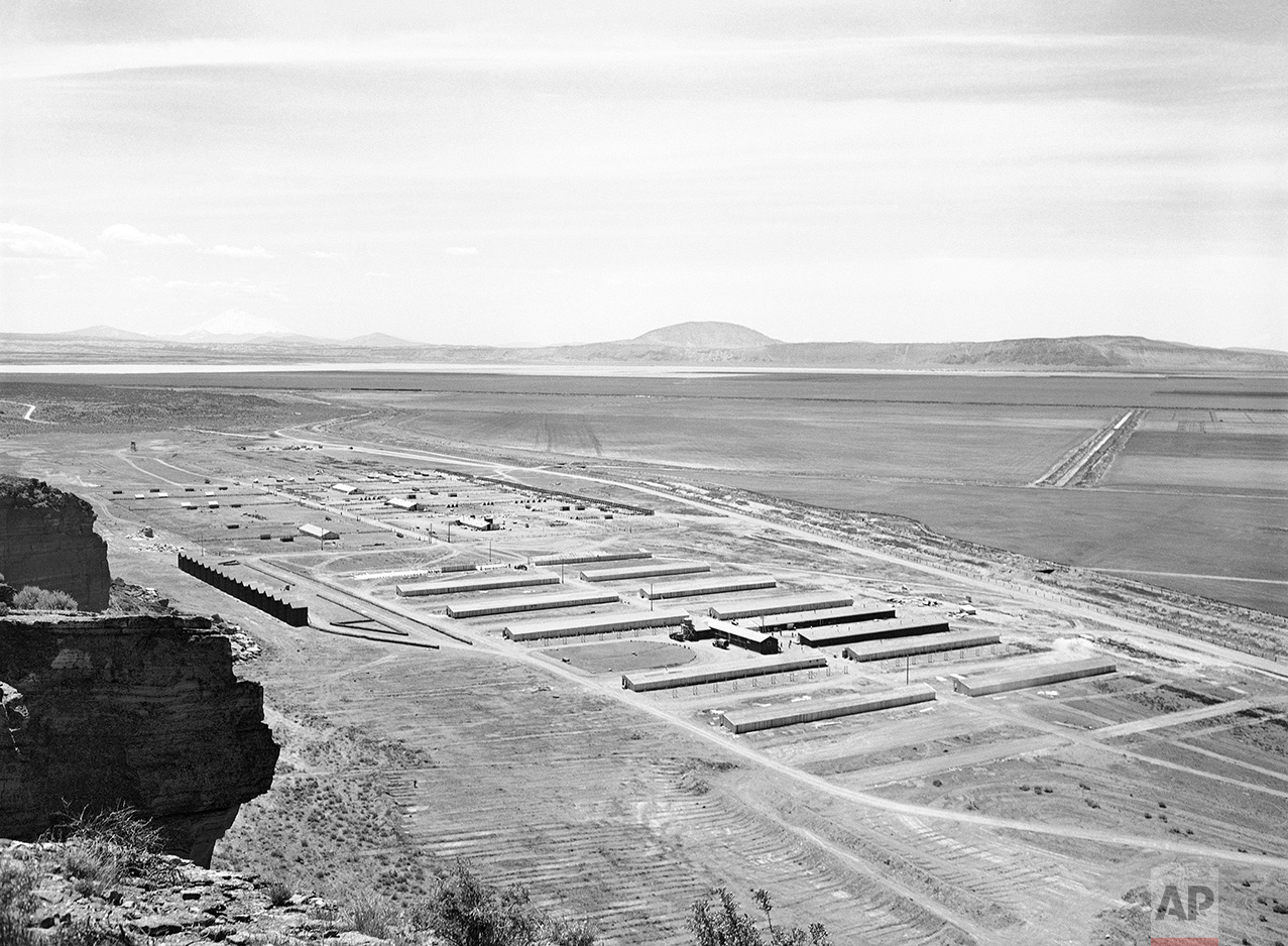 This May 23, 1943 photo shows a Japanese relocation camp in Tule Lake, Calif. Tule Lake is at left, under Mount Shasta. Roughly 120,000 Japanese immigrants and Japanese-Americans were sent to desolate camps that dotted the West because the government claimed they might plot against the U.S. Thousands were elderly, disabled, children or infants too young to know the meaning of treason. Two-thirds were citizens. (AP Photo)