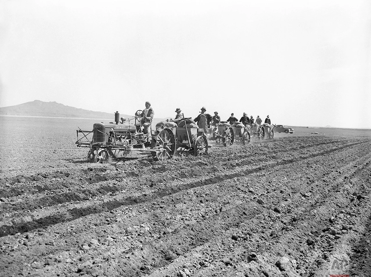 Using light tractors, Japanese residents of their Relocation Center at Tule Lake California May 22, 1943, begin planting potatoes in the several hundred acres of fertile soil of reclaimed old Tule Lake (stet). (AP Photo)