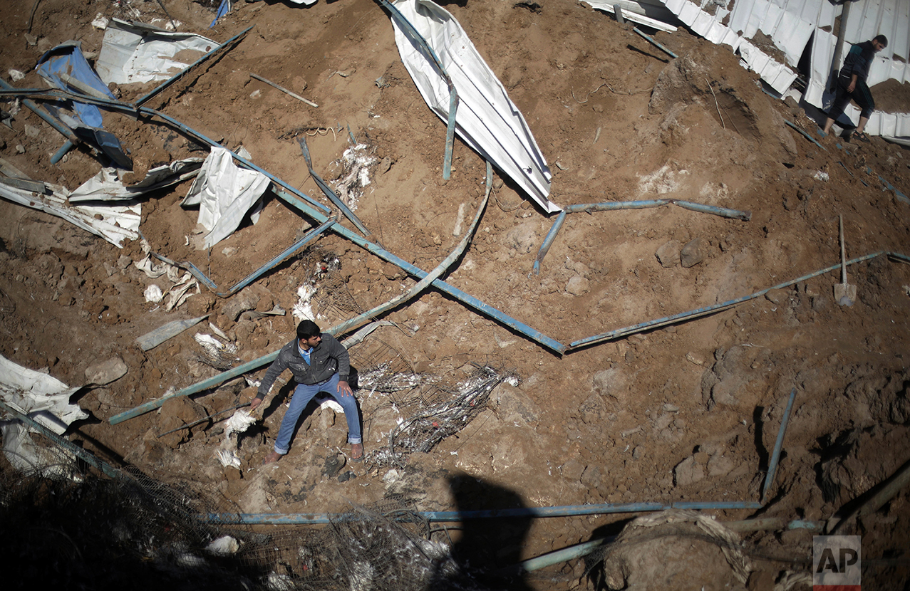  Palestinians inspect the damaged chicken farm was hit and destroyed by an overnight Israeli Airstrike, in Gaza City, Tuesday, Feb. 7, 2017. (AP Photo/ Khalil Hamra) 