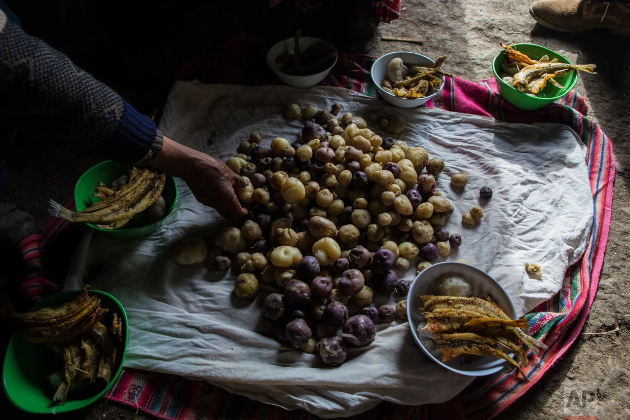 In this Feb. 3, 2017 photo, the Avila family sets their lunch of potatoes and fish on the floor of their home in Coata, a small village on the shore of Lake Titicaca, in the Puno region of Peru. Maruja Inquilla, a local environmental activist, has been visiting villagers to alert them of the dangers lurking in their food and water, in connection with contamination in the Lake Titicaca. (AP Photo/Rodrigo Abd)