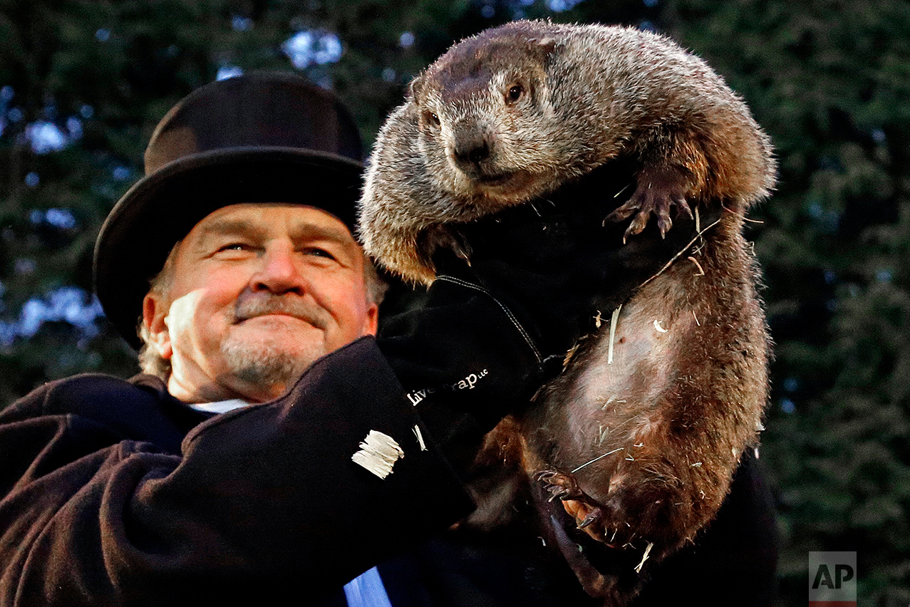  Groundhog Club handler John Griffiths holds Punxsutawney Phil, the weather prognosticating groundhog, during the 131st celebration of Groundhog Day on Gobbler's Knob in Punxsutawney, Pa. Thursday, Feb. 2, 2017. Phil's handlers said that the groundho