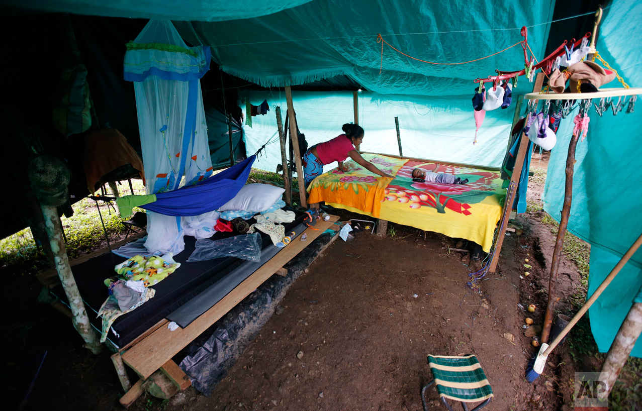 In this Tuesday, Feb. 28, 2017 photo, FARC rebel Deisy Garcia makes her bed where her 3-month-old son Junior Alexis rests inside their tent at a rebel camp in a demobilization zone in La Carmelita, in Colombia's southwestern Putumayo state. The FARC kept strict control over its fighters' reproductive rights and female guerrillas who became pregnant were forced to leave newborns with relatives or abort. But after the FARC and government reached an agreement to end the armed conflict, those rules loosened, resulting in a baby boom. (AP Photo/Fernando Vergara)