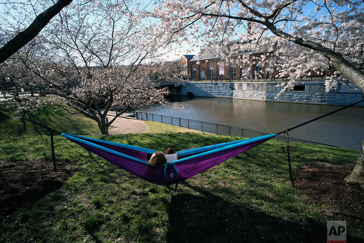 Virginia Daily Life