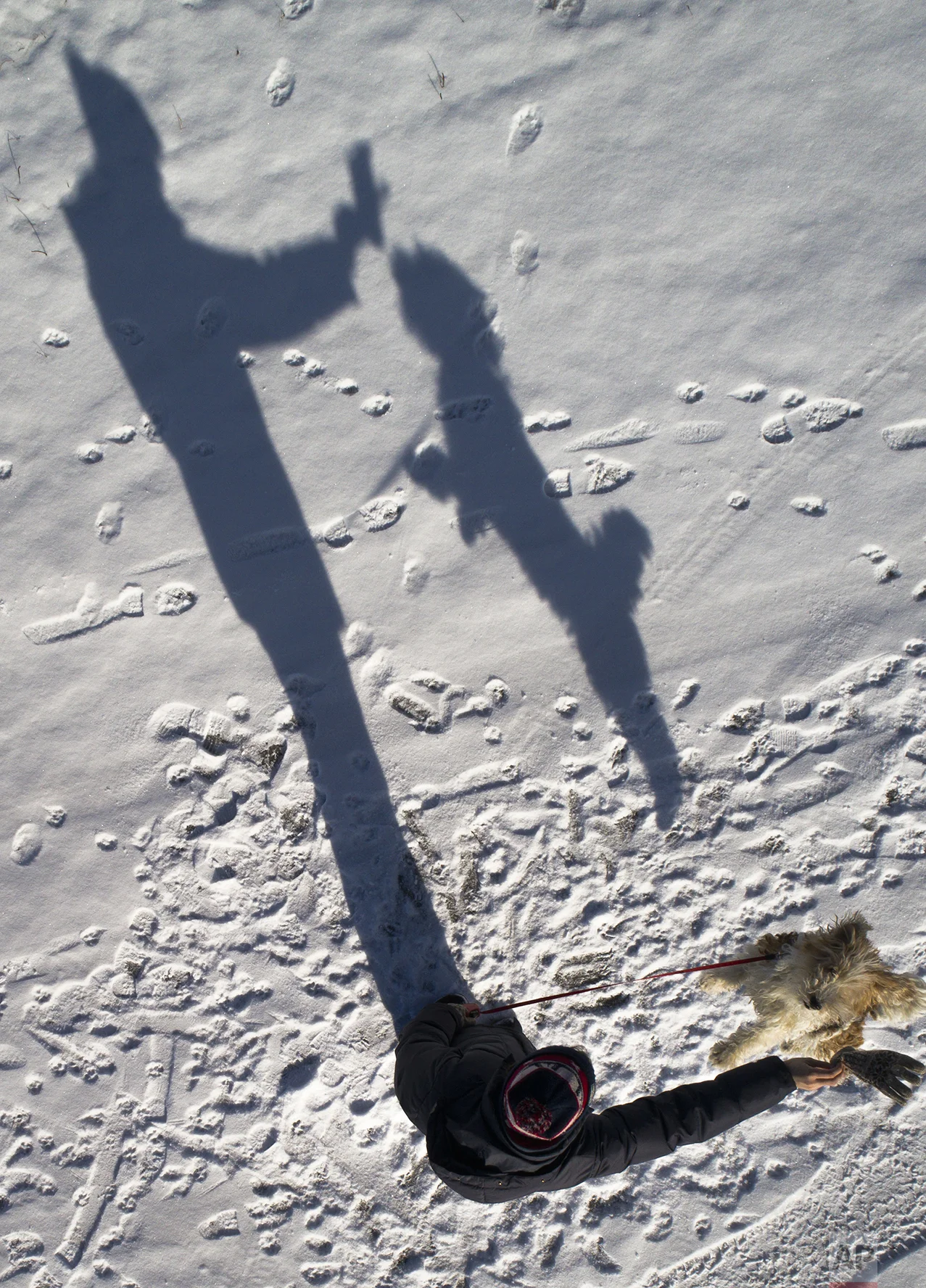 A woman and her dog cast shadows as they play in St. Petersburg, Russia, Monday, March 6, 2017. (AP Photo/Dmitri Lovetsky)