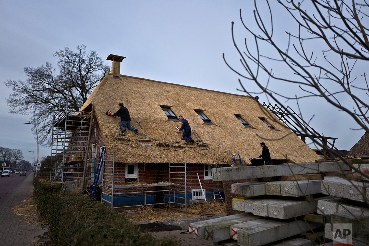  Dutch men work on the rooftop of a home in Staphorst, Netherlands, Wednesday, March 15, 2017. (AP Photo/Muhammed Muheisen) 