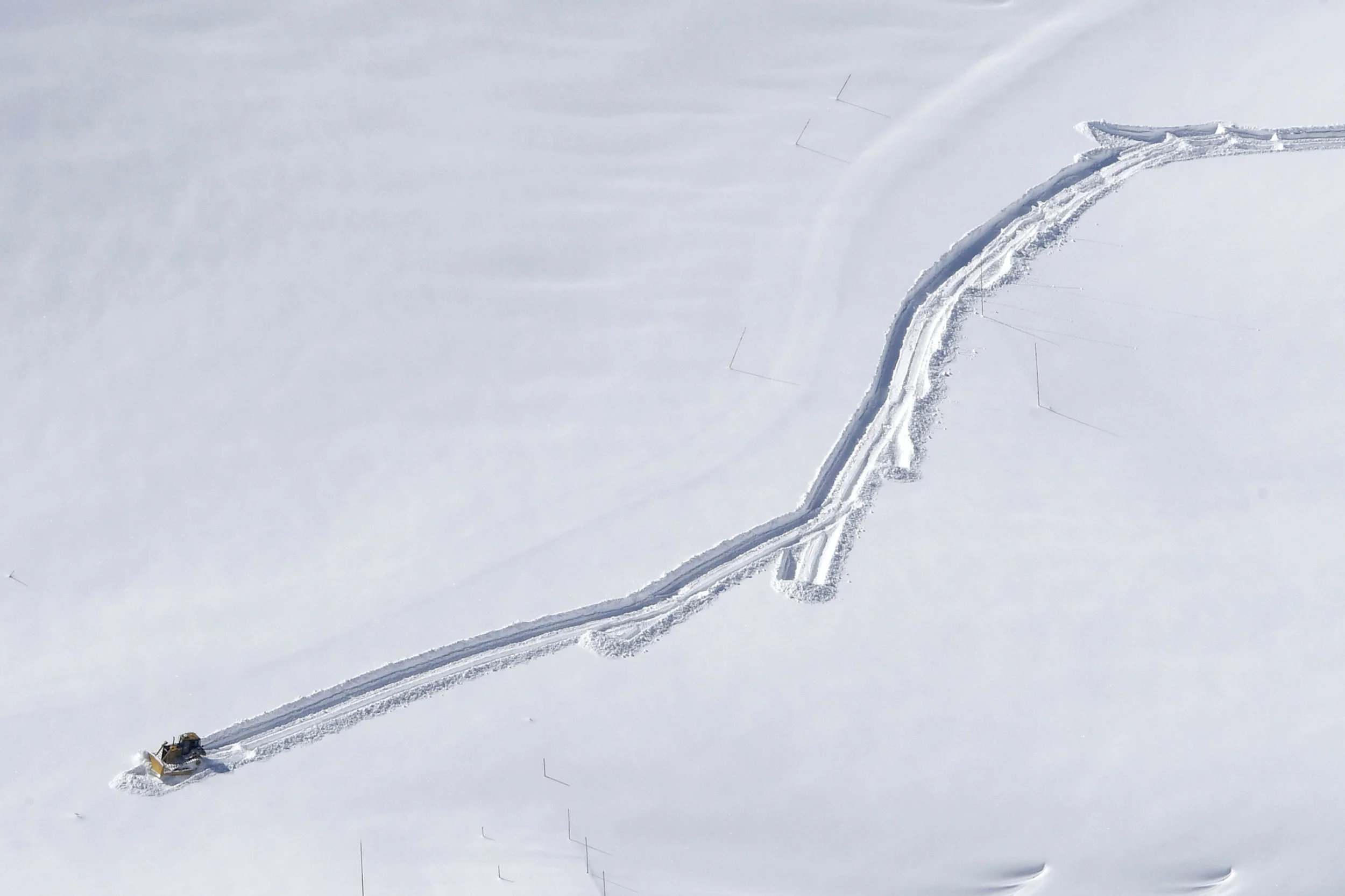 A line on snow canvass for Spring