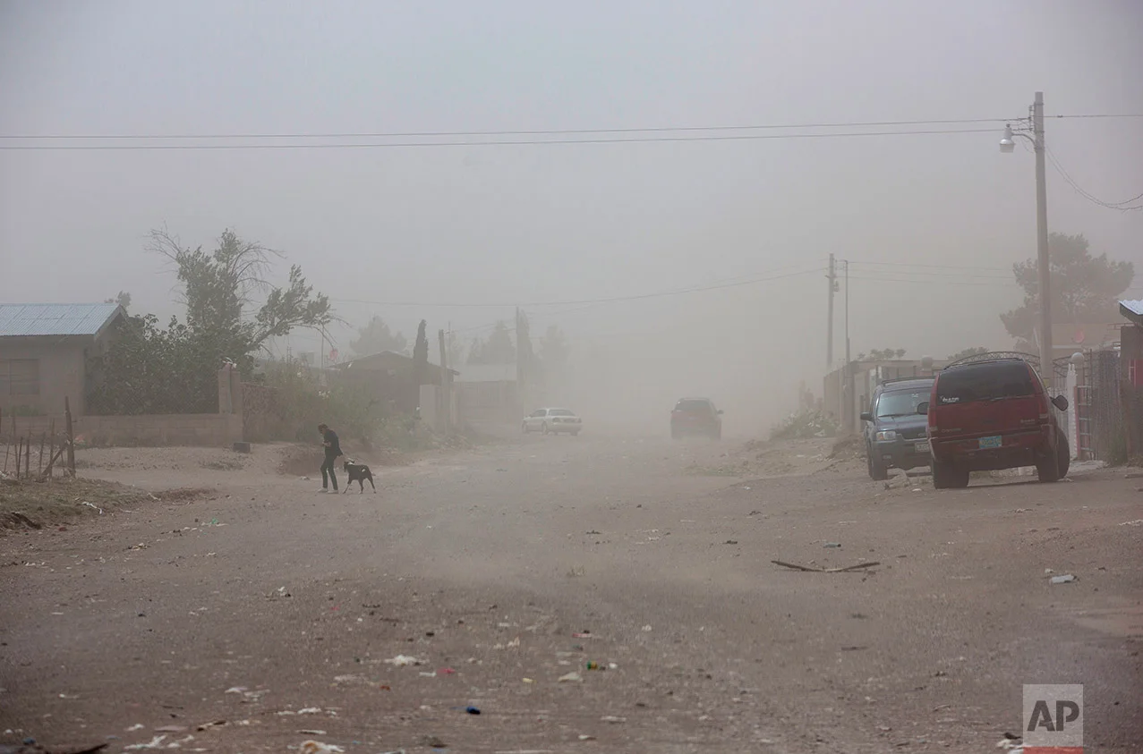 A woman walks with a dog during a dust storm in Palomas, Mexico, Friday, March 31, 2017. (AP Photo/Rodrigo Abd)
