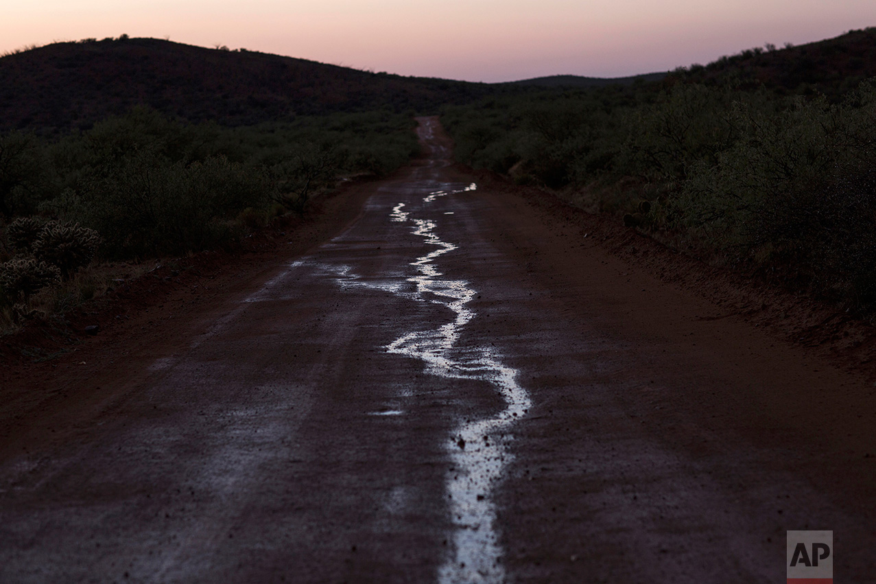  Puddles of water, caused by a rain storm, line a dirt road near the border with Arizona, on the outskirts of Sasabe, in the Mexican state Sonora, Saturday, April 1, 2017. (AP Photo/Rodrigo Abd) 