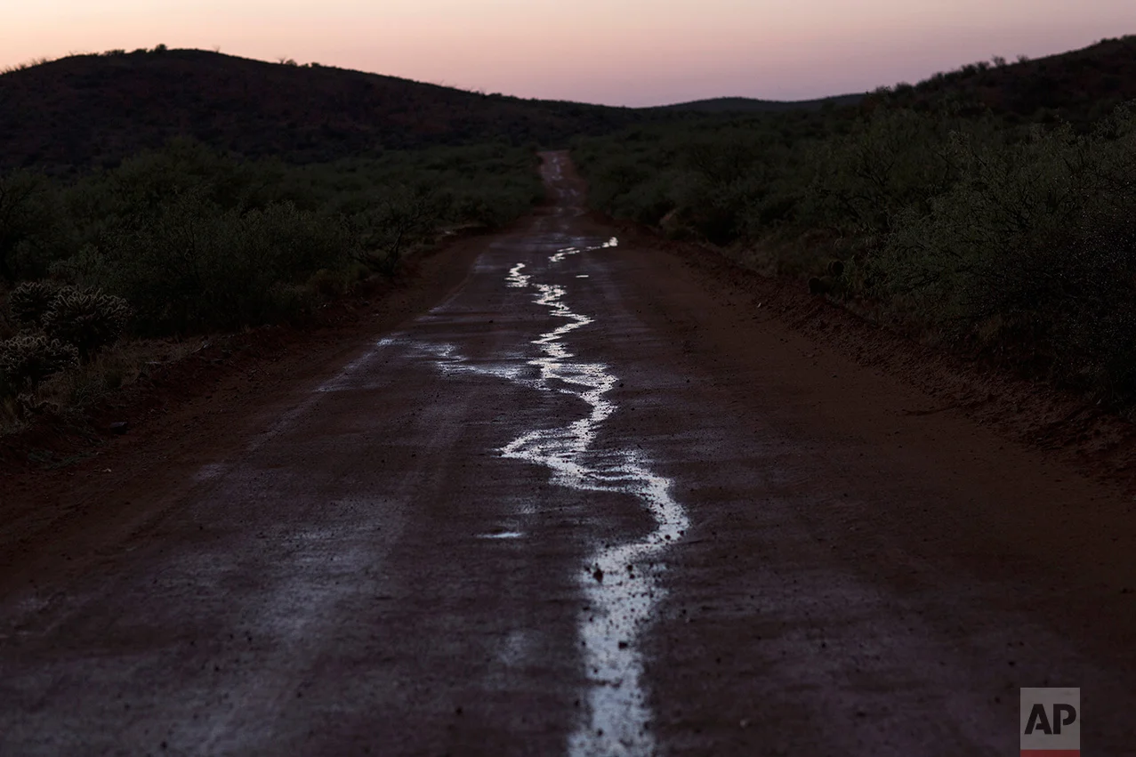 Puddles of water, caused by a rain storm, line a dirt road near the border with Arizona, on the outskirts of Sasabe, in the Mexican state Sonora, Saturday, April 1, 2017. (AP Photo/Rodrigo Abd)