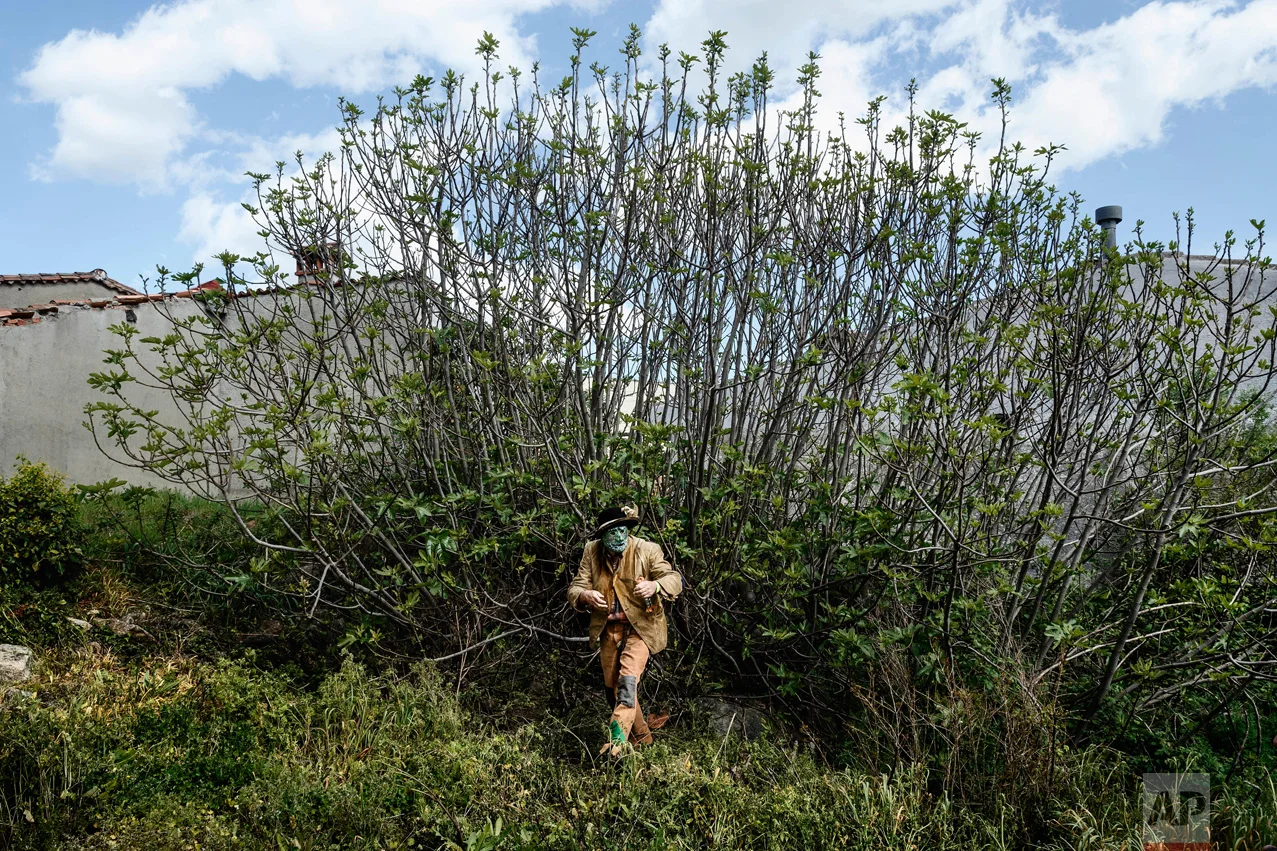 In this April 1, 2017 picture, a man wearing a mask and dressed to represent 'El Hungaro' a traditional character from the La Vijanera de Silio carnival looks for a wooden stick during a traditional Spanish mask gathering parade in the small village of Casavieja, Spain. (AP Photo/Daniel Ochoa de Olza)