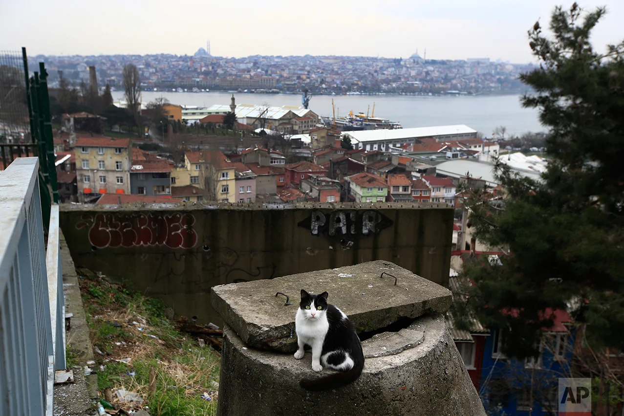 Turkey Daily Life
