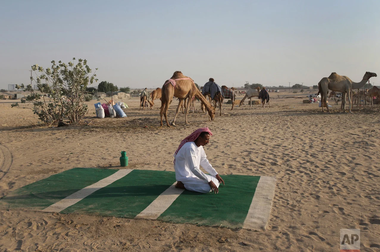 In this Jan. 30, 2017 photo, a Sudanese camel keeper, performs his afternoon prayers at a farm for female racing camels, in Dubai, United Arab Emirates. (AP Photo/Kamran Jebreili)