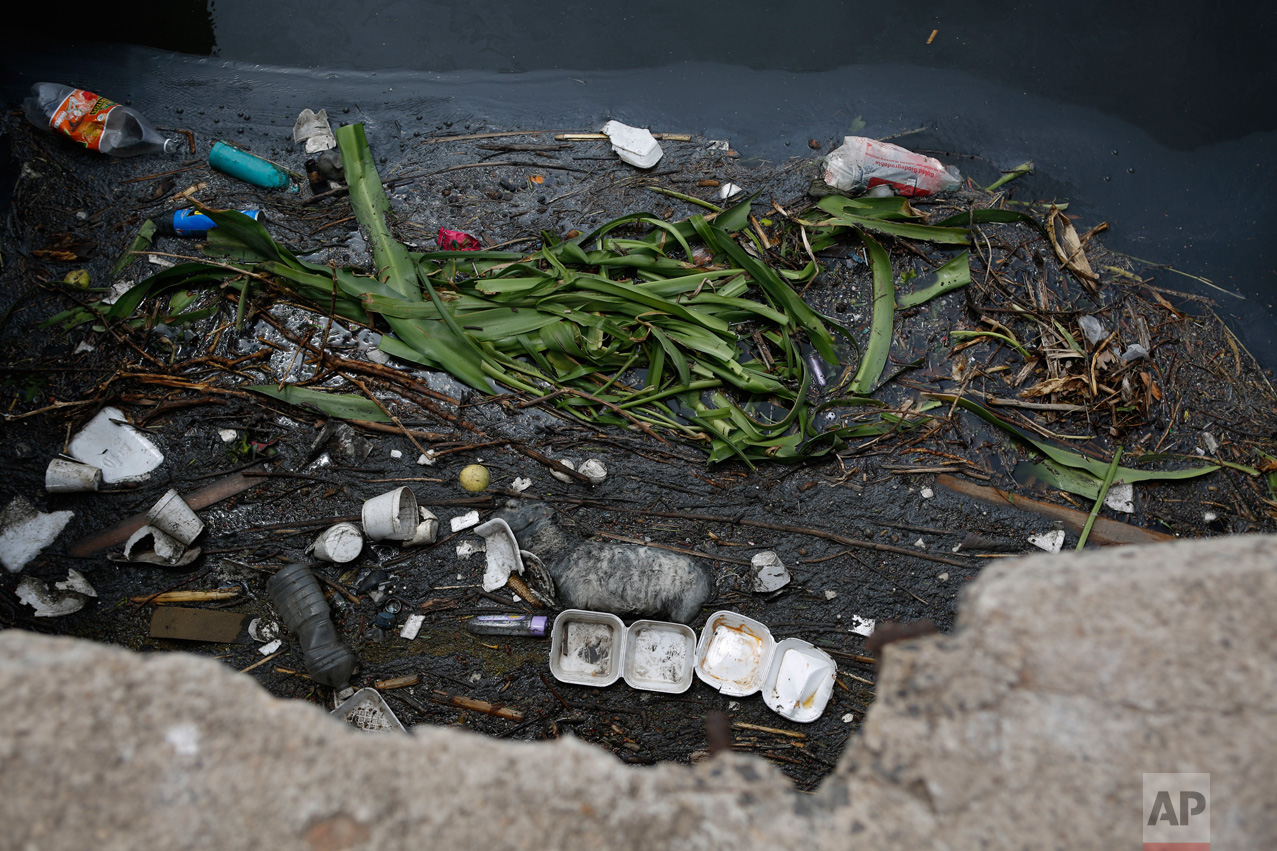 In this March 31, 2017 photo, the carcass of a lamb floats amidst garbage in an irrigation canal, in Santa Ana Ahuehuepan, north of Tula, Hidalgo state, Mexico, Friday. From a distance the valley's landscape looks bucolic; up close, in some places, plastic bags and bottles choke the canals and foam billows several feet above the water. (AP Photo/Rebecca Blackwell)