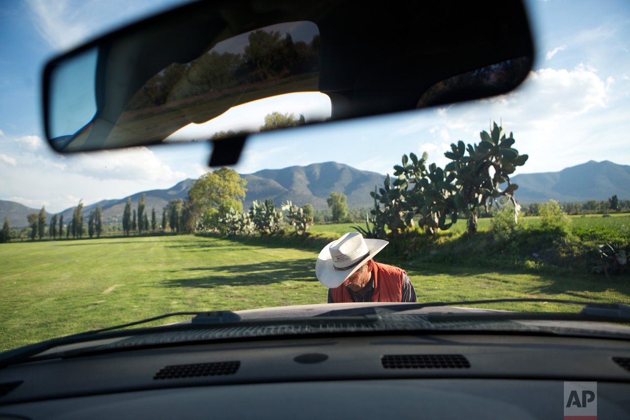 In this March 17, 2017 photo, Margarito Sanchez closes the hood of his pickup after making a minor repair, in a farm field where his family grows ornamental lawn grass for sale, in Tepatepec, Hidalgo state, Mexico. Such water-intensive crops would have been unimaginable before Mexico City's sewage brought large quantities of water to the semi-arid valley. Farmers say the income from the "black waters" has helped them trade donkeys and yoked plows for pick-up trucks and tractors. (AP Photo/Rebecca Blackwell)
