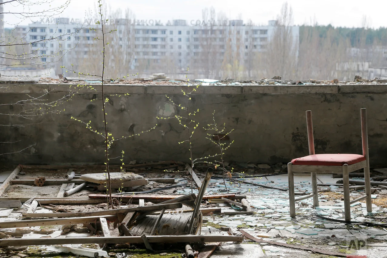 In this photo taken Wednesday, April 5, 2017, small trees grow on a balcony in the deserted town of Pripyat, some 3 kilometers (1.86 miles) from the Chernobyl nuclear power plant Ukraine. (AP Photo/Efrem Lukatsky)