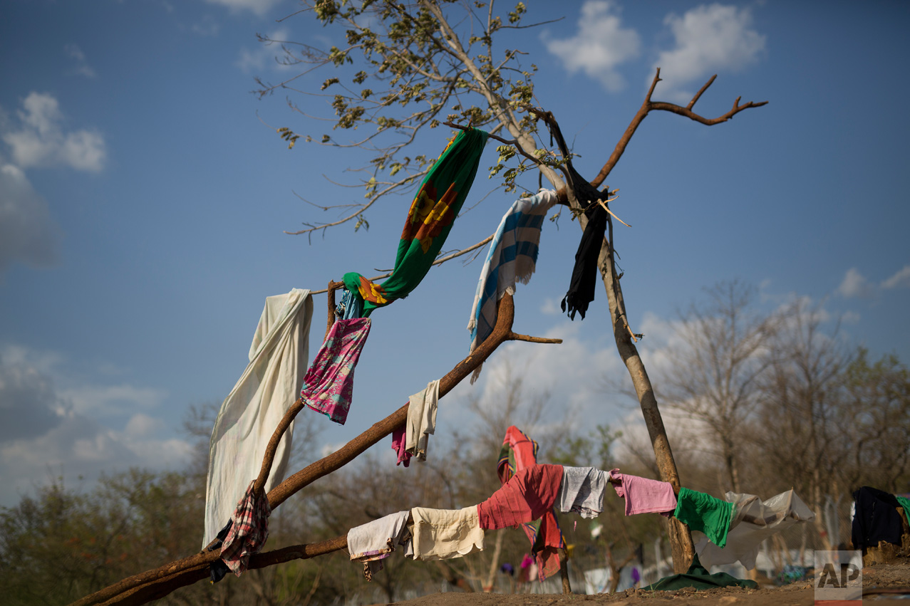 In this Saturday, April 1, 2017 photo, laundry dries on a tree in the new Imvepi refugee settlement in northern Uganda. Imvepi is growing at a rate of over 2,000 refugees each day. (AP Photo/Jerome Delay)