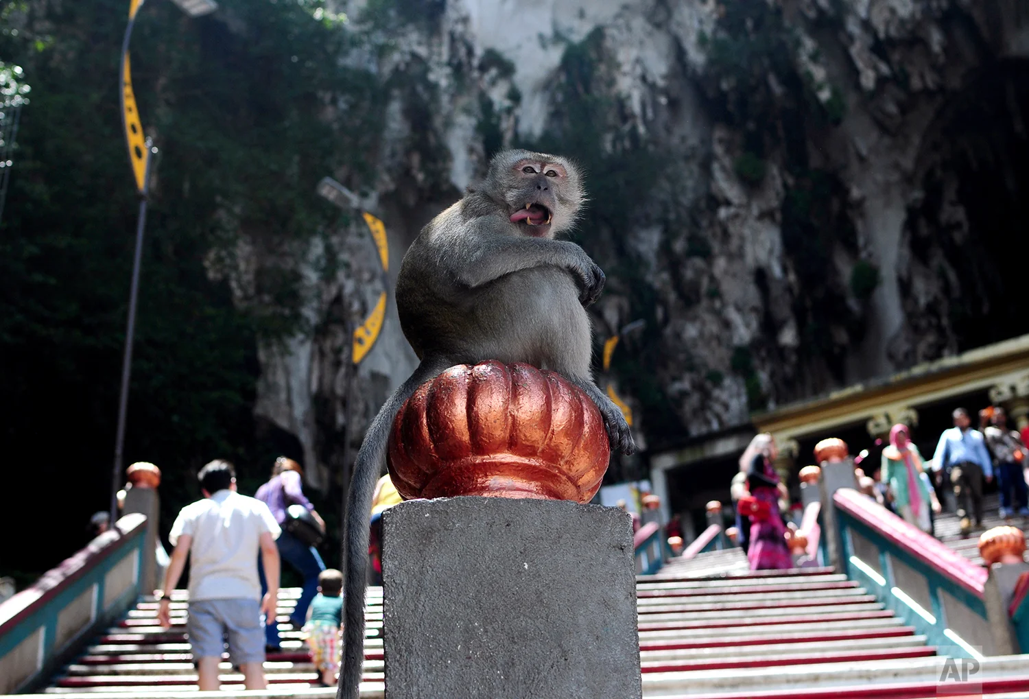 Malaysia Daily Life