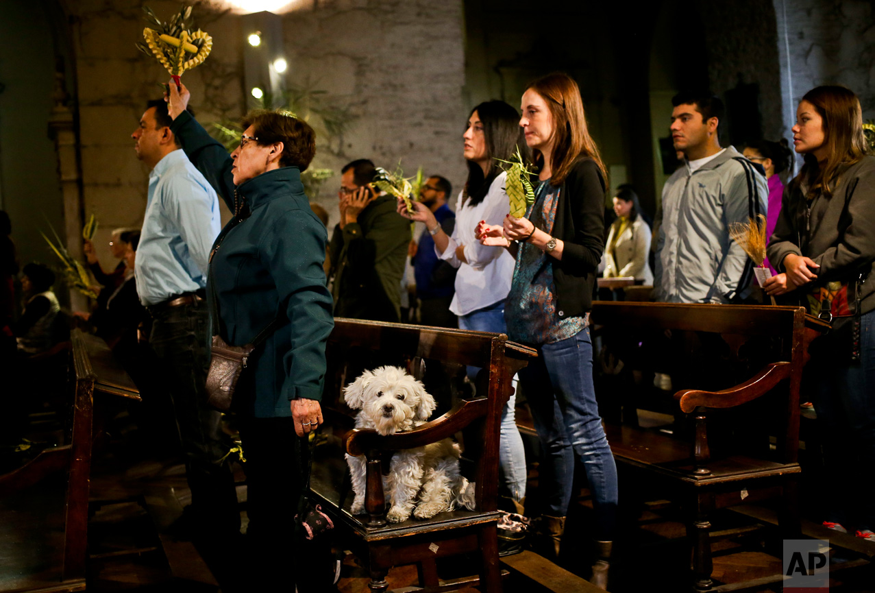 People take part in a Palm Sunday Mass at the San Francisco church in Santiago, Chile, Sunday, April 9, 2017. For Christians, Palm Sunday marks Jesus Christ's entrance into Jerusalem, when his followers laid palm branches in his path, prior to his crucifixion. (AP Photo/Esteban Felix)