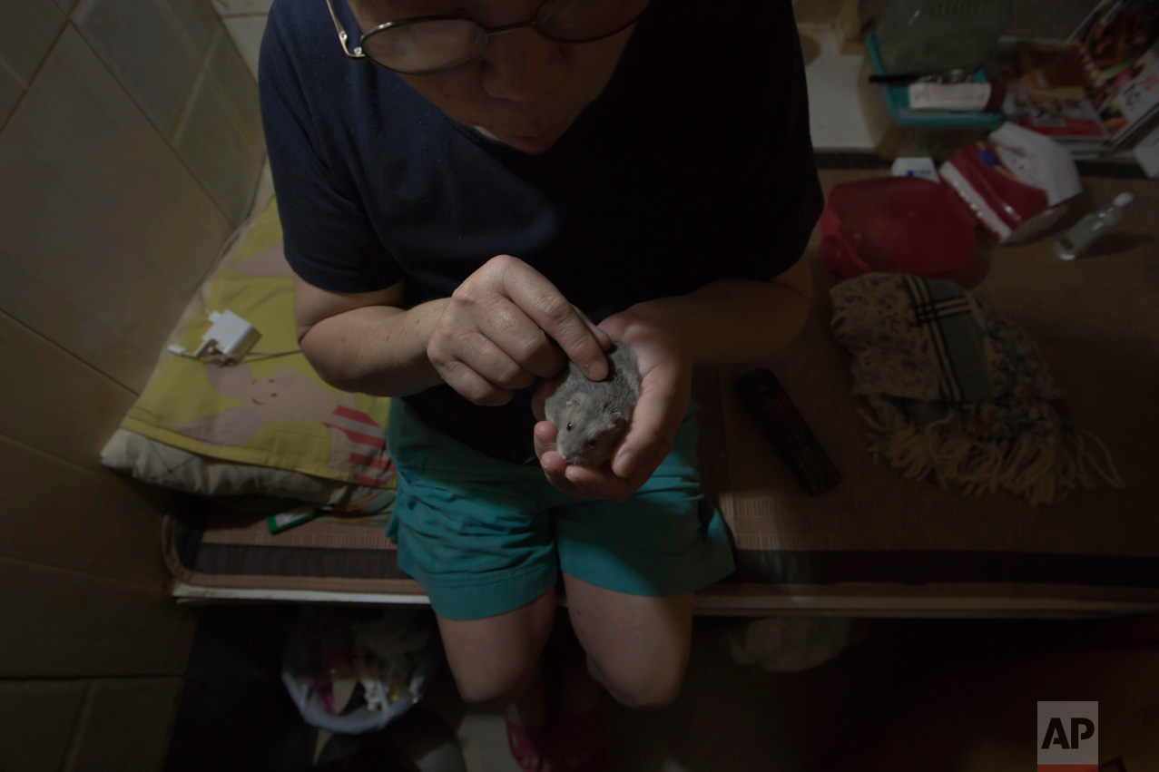  In this Thursday, May 4, 2017 photo, Kitty Au plays with her hamster in her "coffin home" in Hong Kong. In wealthy Hong Kong, there's a dark side to a housing boom, with hundreds of thousands of people forced to live in partitioned shoebox apartment