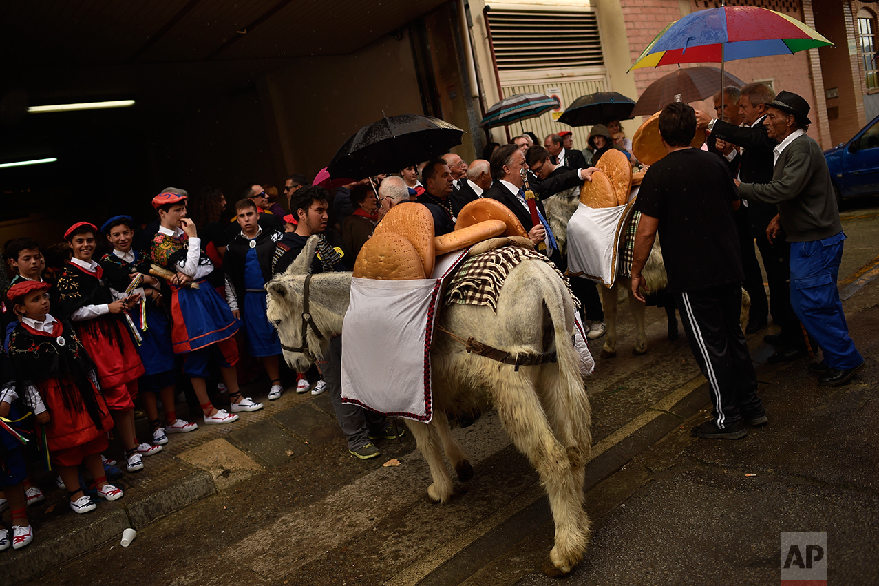  Participants carry giant bread on donkeys as they take part in the ceremony in honor of Domingo de La Calzada Saint (1019-1109), who helped poor people and pilgrims, in Santo Domingo de La Calzada, northern Spain, Wednesday, May 10, 2017. (AP Photo/