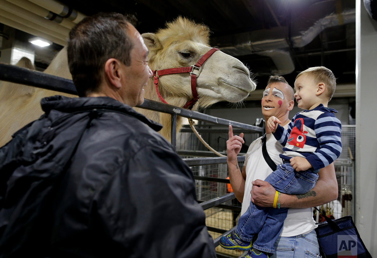  Ringling Bros. boss clown Sandor Eke, center, holds his 2-year-old son Michael up to pet a camel before performing in a show, Friday, May 5, 2017, in Providence, R.I. "When you're a circus kid you have your own zoo," said Eke. (AP Photo/Julie Jacobs