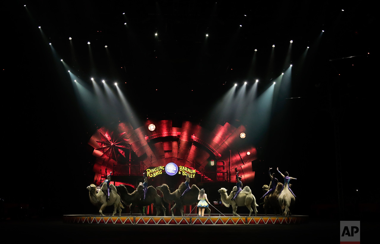  The Desert Goddesses perform on camels during a show, Thursday, May 4, 2017, in Providence, R.I. "The Greatest Show on Earth" is about to put on its last show on earth. For the performers who travel with the Ringling Bros. and Barnum & Bailey Circus