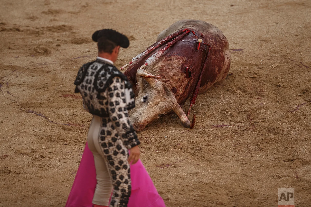 Spain Bullfight