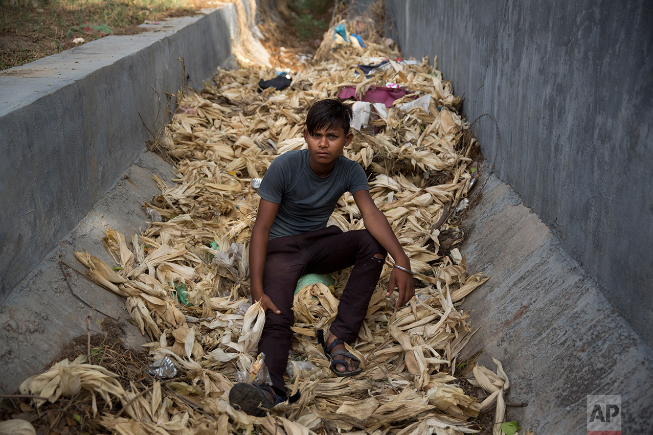  In this Thursday June 8, 2017 photo, Indian boy Brijesh, who claims to be 16 year old but doesn't know his birthday, poses for a photo as he sits on corn stalks next to a busy expressway in Noida, India. Every 100 meters (330 feet) or so there are c