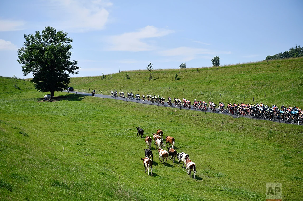Switzerland Cycling Tour De Suisse