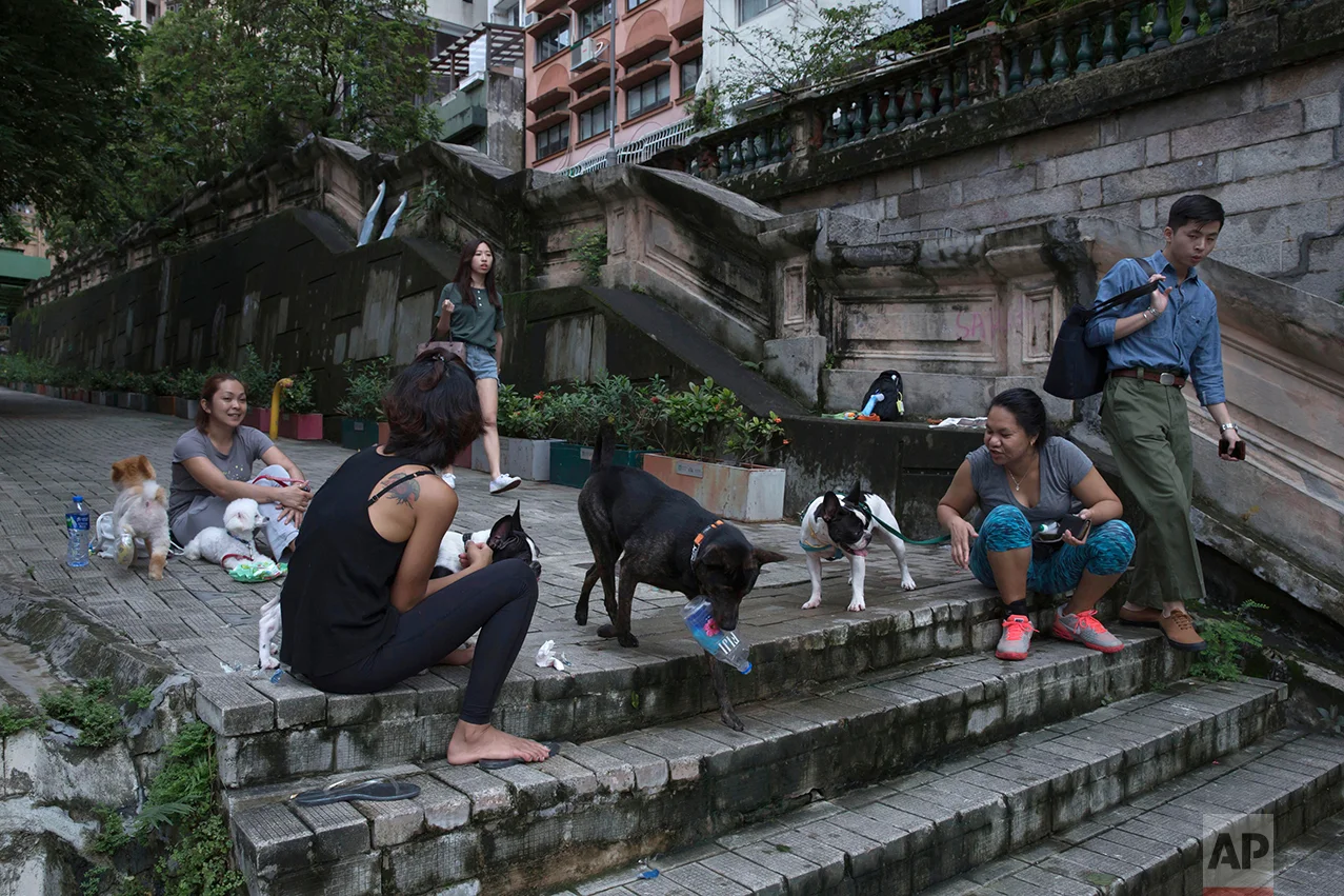 In this June 24, 2017, photo, domestic workers with dogs chat on the slope in Western district of Hong Kong. (AP Photo/Kin Cheung)