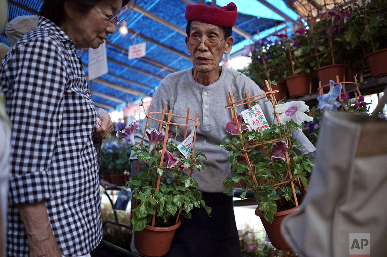 Japan Daily Life