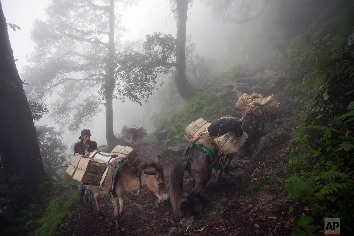 India Daily Life