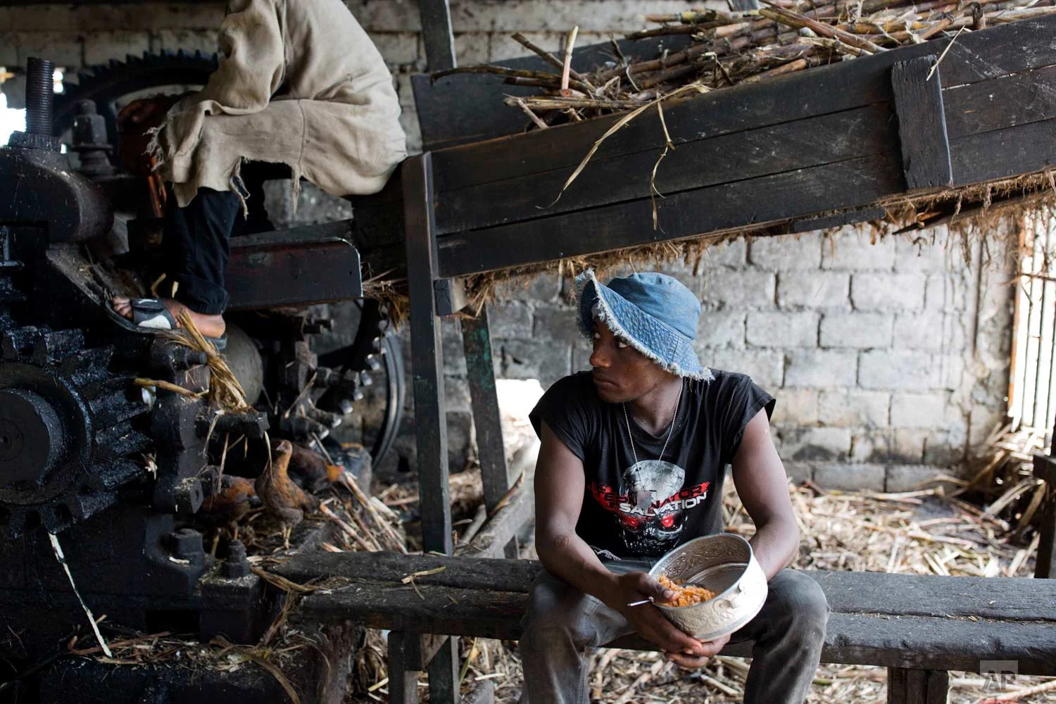 In this June 16, 2017 photo, Ronalson Chery, 26, eats rice and beans he brought from home as he takes a lunch break from moving sugar cane to the machine that extracts the juice at the Ti Jean distillery, which produces clairin, a sugar-based alcoholic drink, in Leogane, Haiti. The juice is the raw material of both clairin and the type of rum associated with the French Caribbean. Most rum produced elsewhere is made from molasses. (AP Photo/Dieu Nalio Chery)
