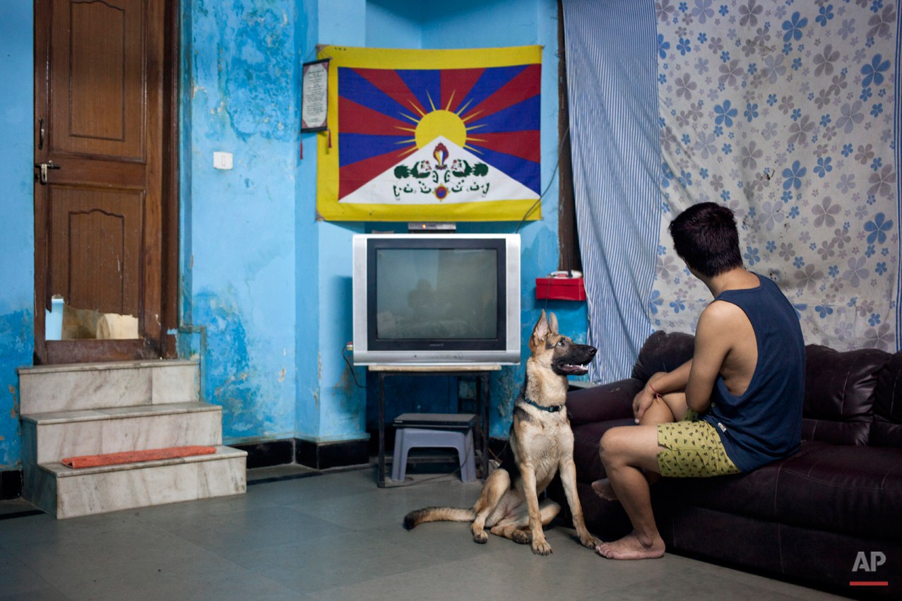  In this Wednesday, Oct. 15, 2014 photo, Tibetan exile Tsering, only one name given, sits with his pet dog in his room in New Delhi, India. Tsering escaped to India in 1997 when he was around 6 years old. Tsering says his mother cries when they speak