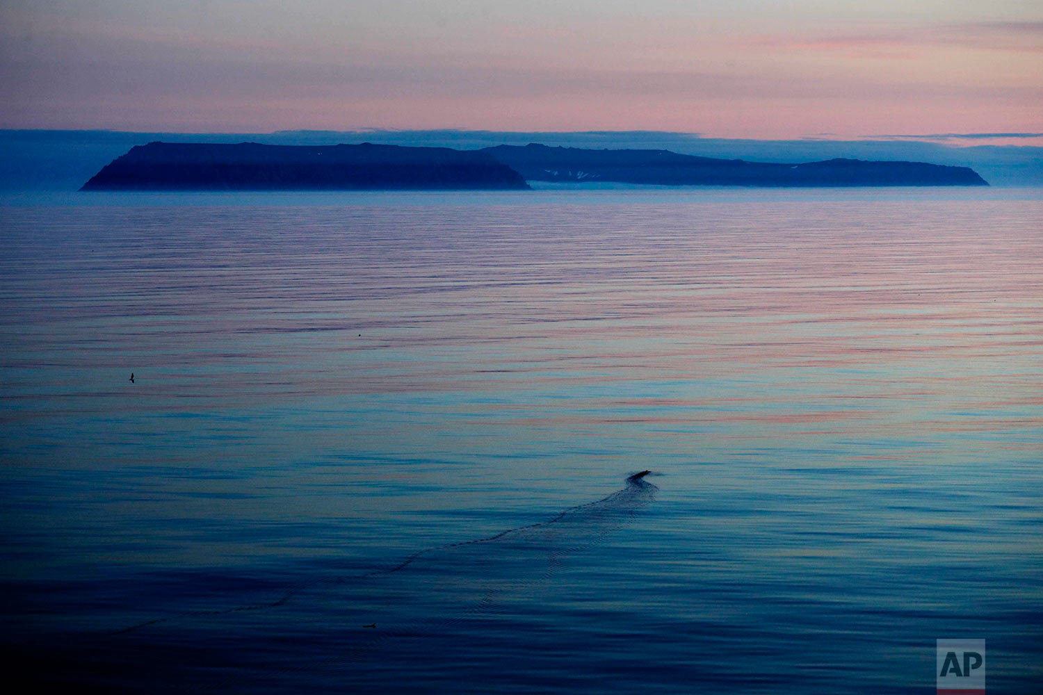  A bird's wake is cast on the water as the American island of Little Diomede, Alaska, left, and behind it on the right, the Russian island of Big Diomede, are seen from the Finnish icebreaker MSV Nordica in the Bering Strait, Friday, July 14, 2017. T