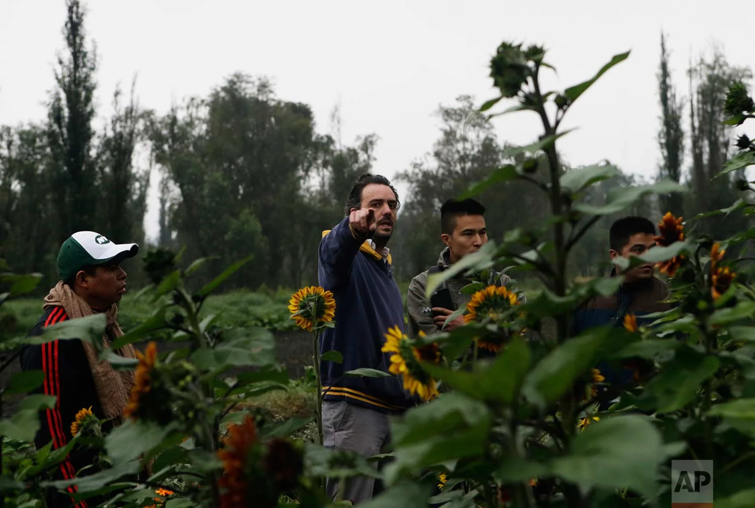 In this July 13, 2017 photo, farmer Lucio Usobiaga, founding partner of Yolcan, points to a vegetable field as he talk to chefs and restaurant employees on a floating farm known as a "chinampa" in Xochimilco, Mexico City. (AP Photo/Marco Ugarte)