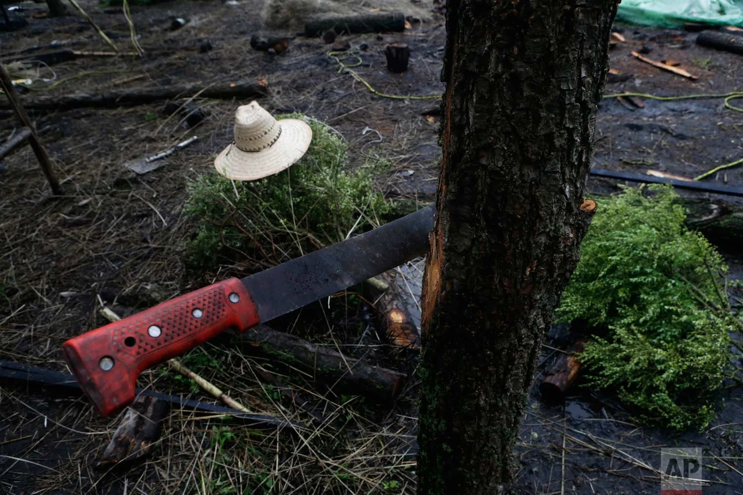 In this July 13, 2017 photo, a farmer's machete and hat sit on a floating farm known as a "chinampa" in Xochimilco, Mexico City. (AP Photo/Marco Ugarte)