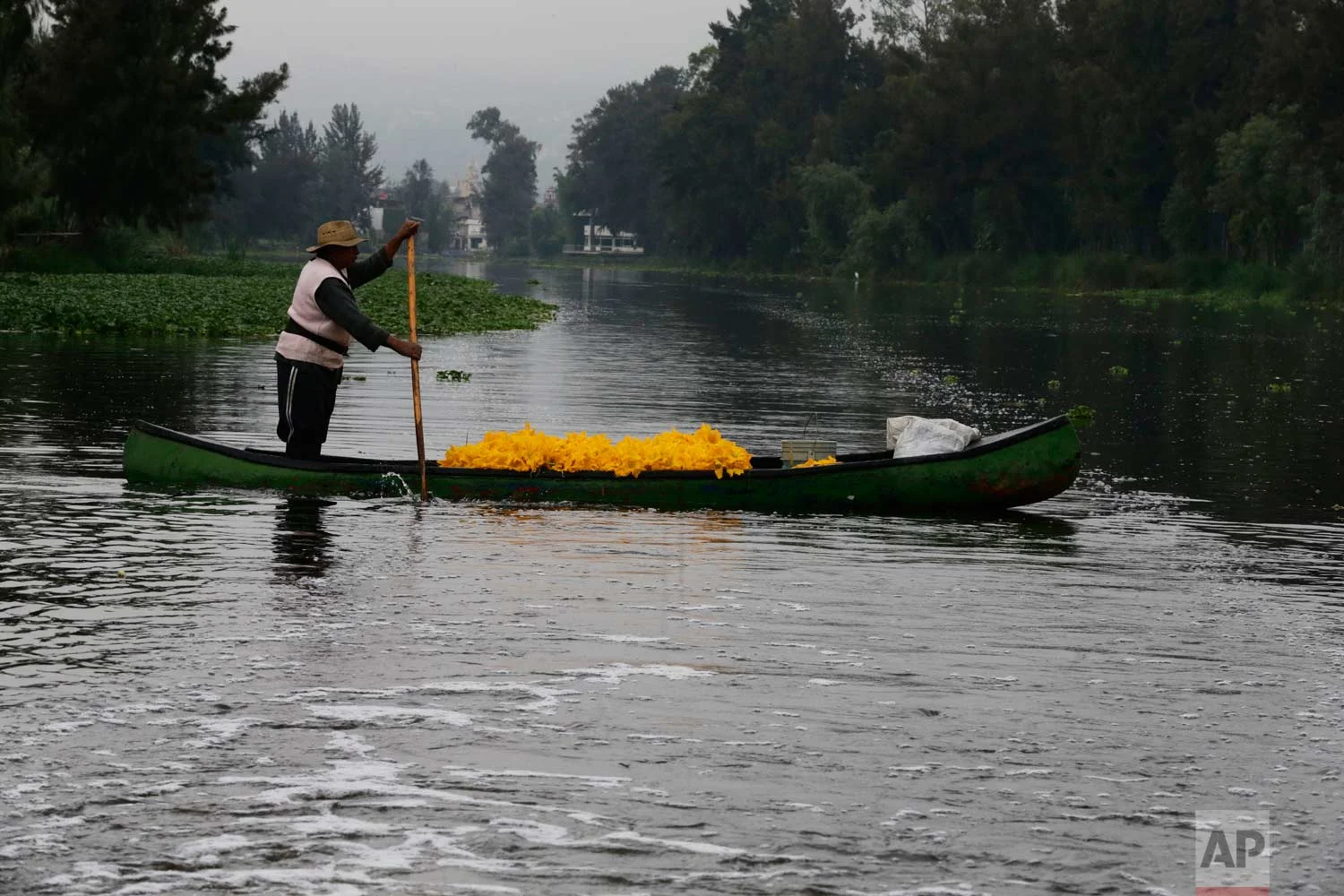 In this July 13, 2017, a farmer moves his harvest of squash flowers through the channels of Xochimilco in Mexico City. (AP Photo/Marco Ugarte)
