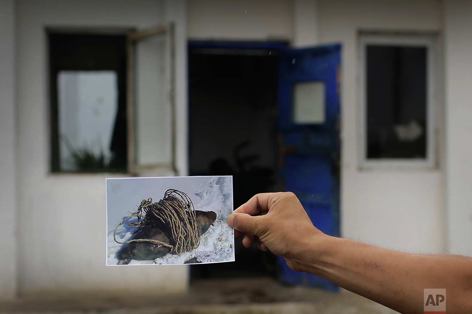 In this Friday, July 21, 2017, photo, Maj. Jong Il Hyon, 44, a member of a bomb squad for South Hamgyong, holds up a photograph in Hamju county, North Korea, of an unexploded bomb found near the railway which runs through Hamhung from Pyongyang to the northeastern port of Chongjin. (AP Photo/Wong Maye-E)