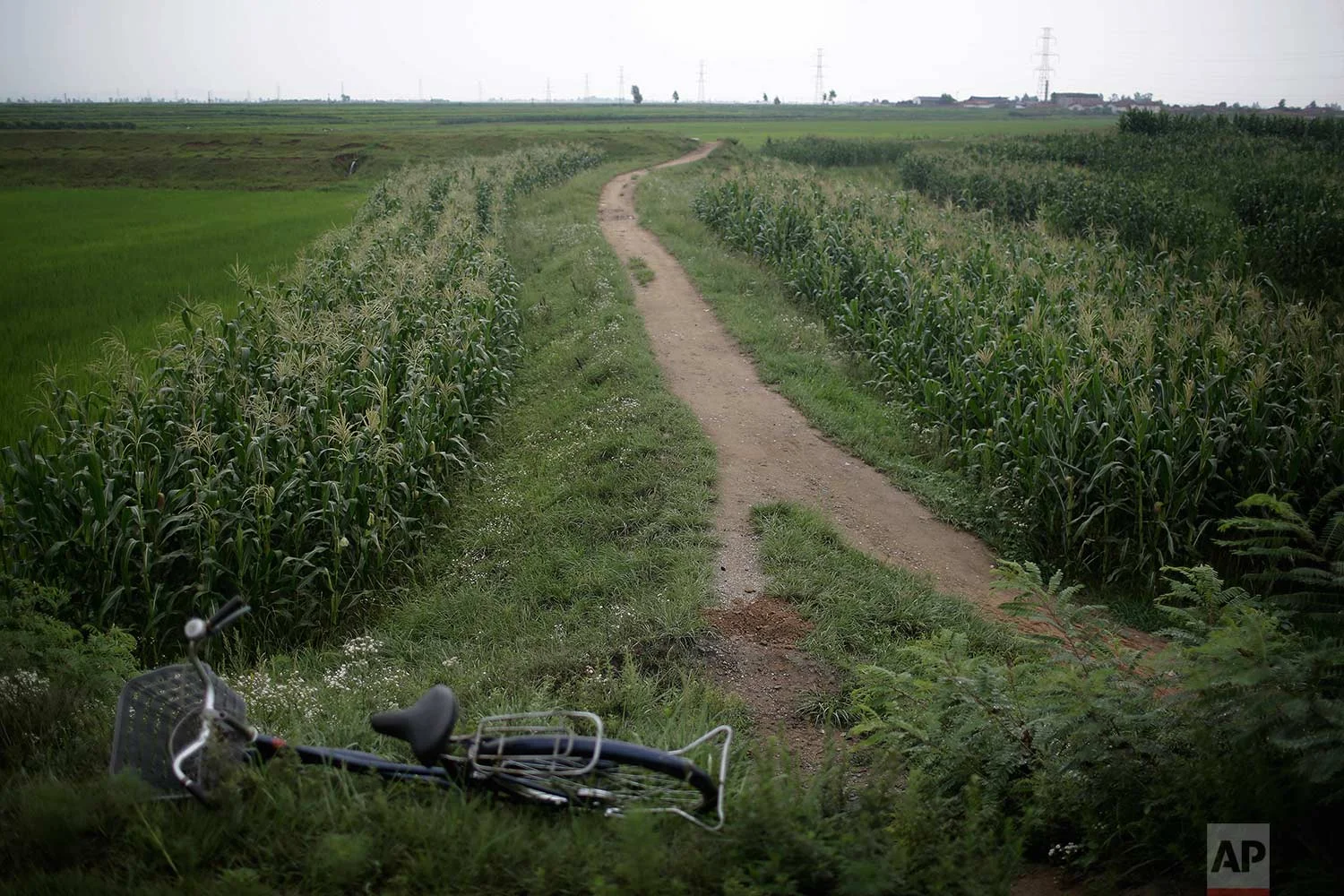 In this Friday, July 21, 2017, photo, a bicycle lies near a pathway in Hamju county, North Korea, leading to where an unexploded bomb was found near the railway which runs through Hamhung from Pyongyang to the northeastern port of Chongjin. (AP Photo/Wong Maye-E)