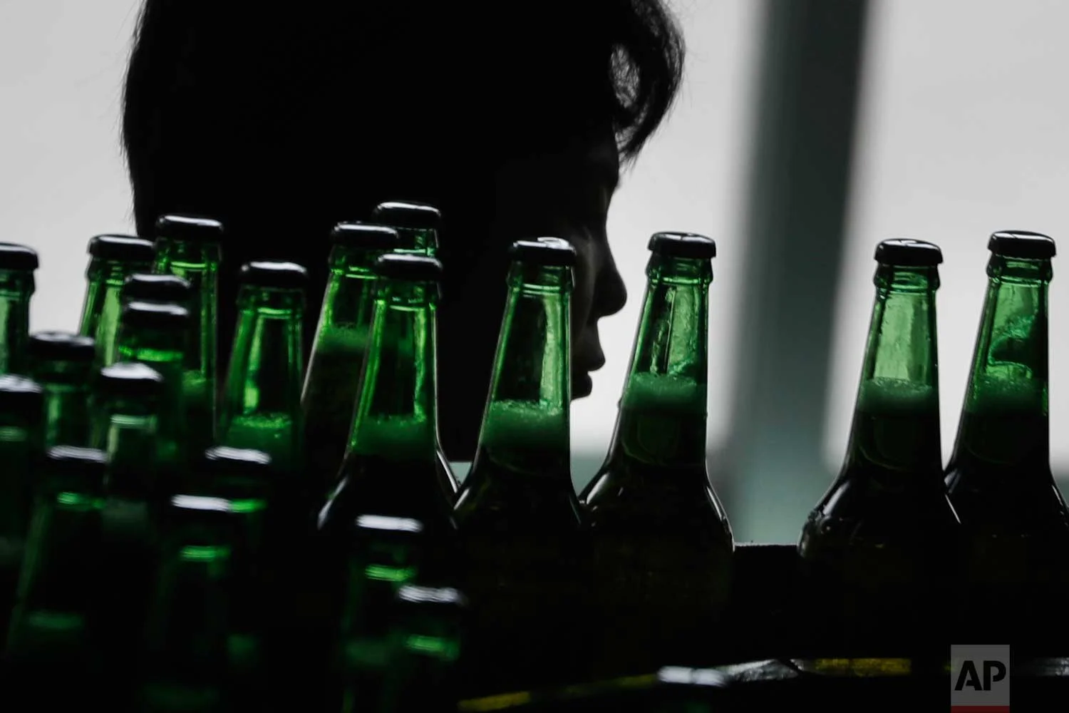 In this Wednesday, July 26, 2017, photo, a worker is seen in silhouette as bottles of beer pass her on a conveyor belt at the Taedonggang Brewery on Wednesday, July 26, 2017, in Pyongyang, North Korea. (AP Photo/Wong Maye-E)