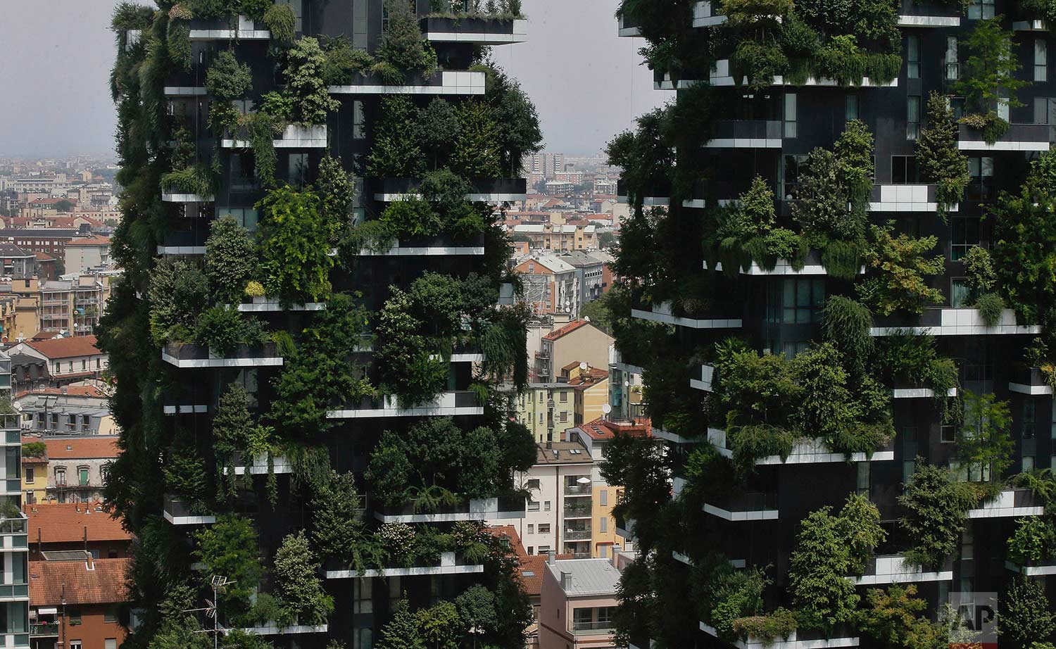  The twin towers of the Bosco Verticale (Vertical Forest) residential buildings at the Porta Nuova district, rise above Milan, Italy, on Thursday, Aug. 3, 2017. (AP Photo/Luca Bruno) 