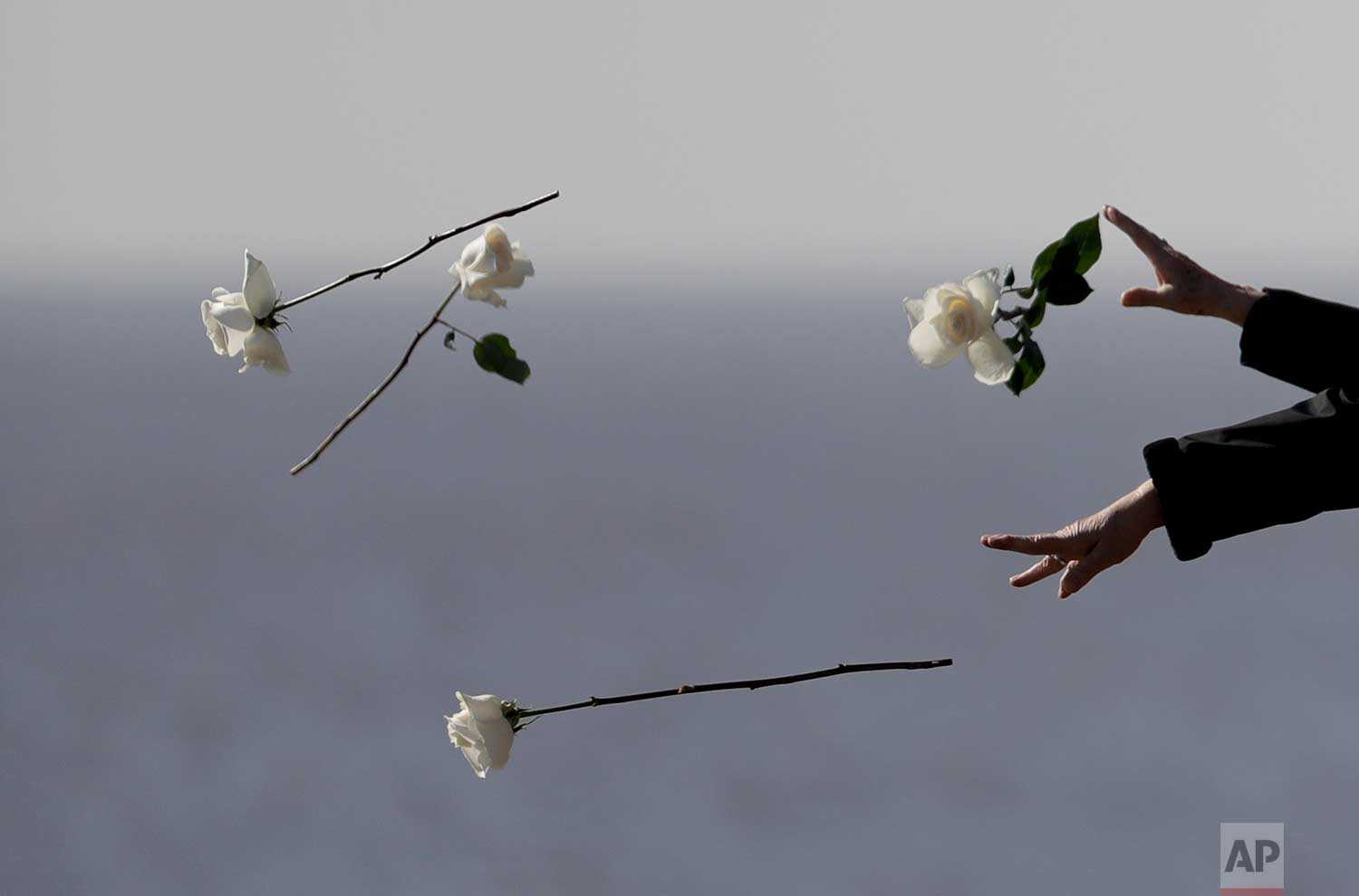 Chile's President Michelle Bachelet, bottom, throws a flower in the river during a visit to Memory Park which honors the victims of the country's dictatorship, in Buenos Aires, Argentina, Thursday, July 20, 2017. (AP Photo/Natacha Pisarenko)