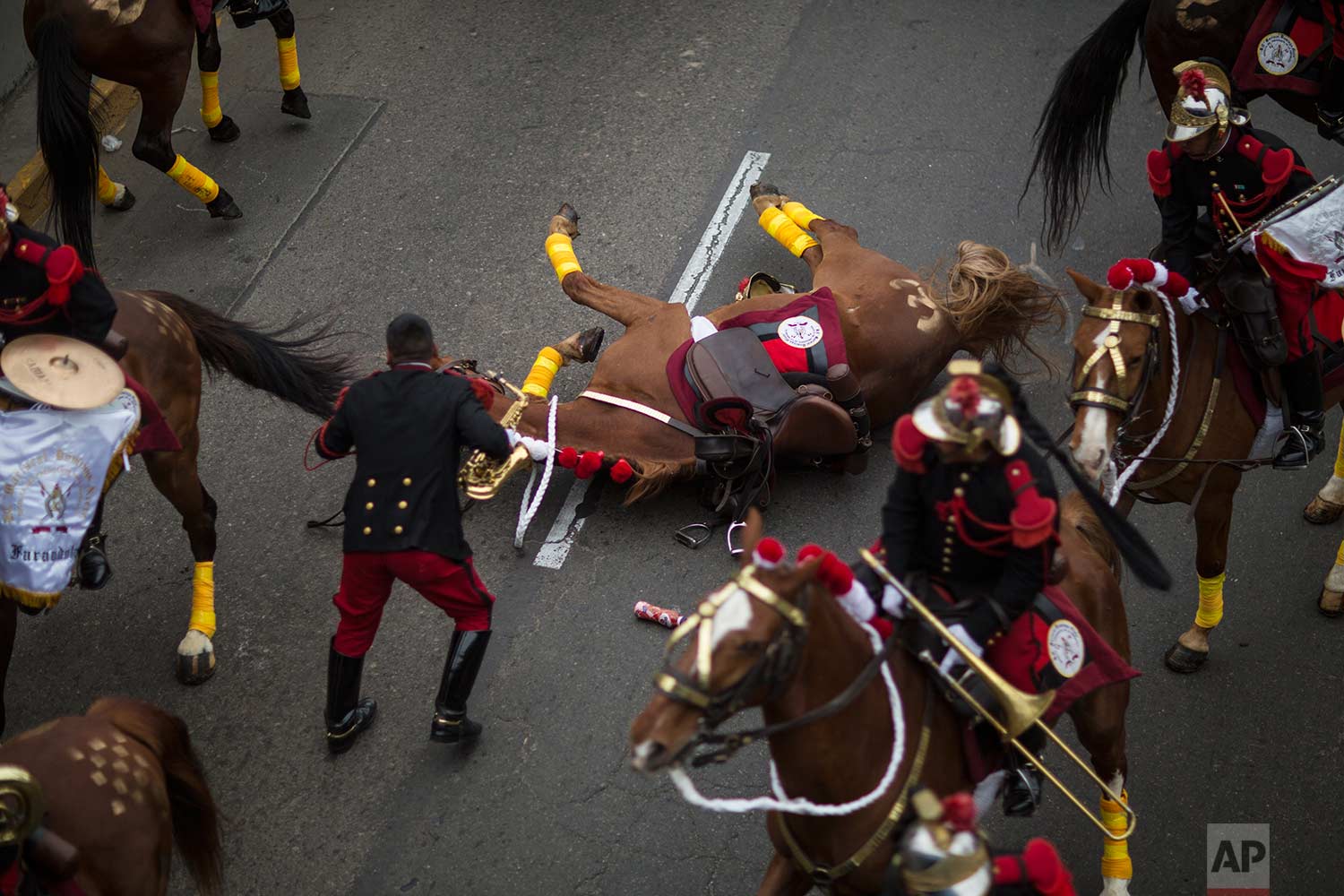 A member of the traditional cavalry regiment known as the Husares de Junin tends to his horse who inexplicably fell during a military parade that was part of the Independence Day celebrations, in Lima, Peru, Saturday, July 29, 2017. (AP Photo/Rodrigo Abd)