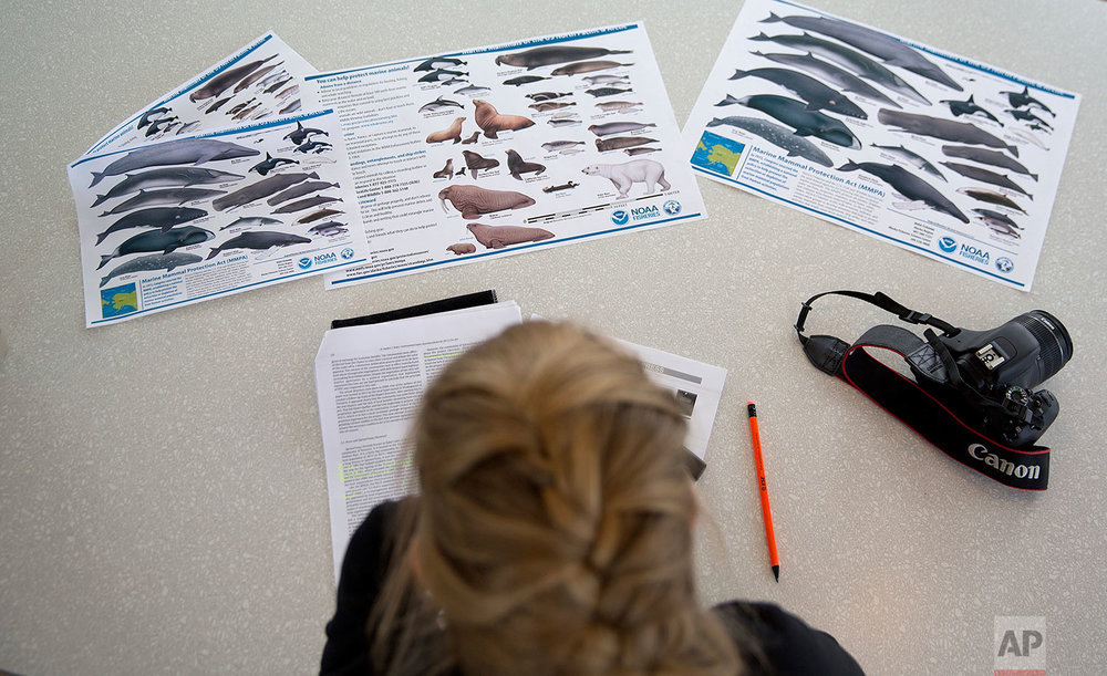  Researcher Tiina Jaaskelainen looks over information sheets on marine mammals of the North Pacific and Arctic aboard the Finnish icebreaker MSV Nordica as it sails the North Pacific Ocean to traverse the Northwest Passage through the Canadian Arctic