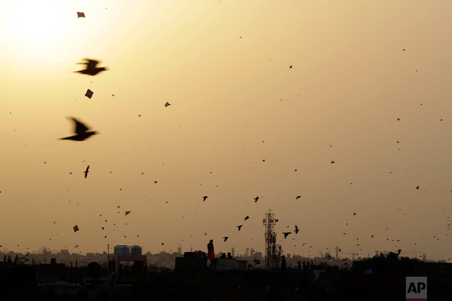  In this Tuesday, Aug. 15, 2017 photo, birds fly among kites on Independence Day in the old quarters of New Delhi, India. (AP Photo/Tsering Topgyal) 