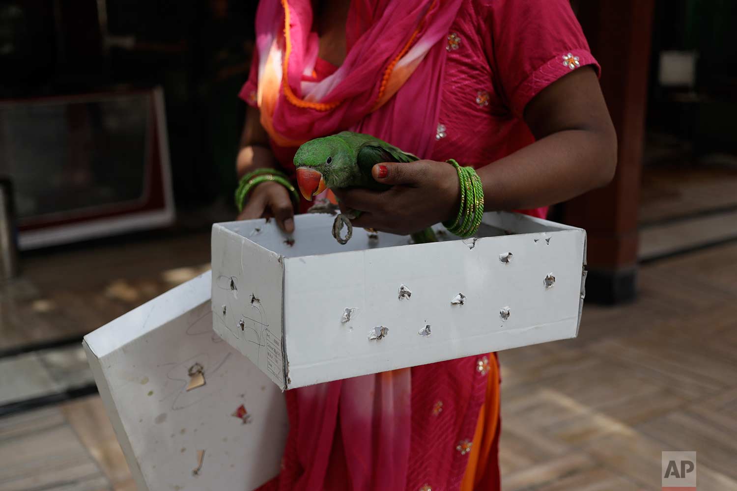  In this Wednesday, Aug. 16, 2017 photo, an Indian woman brings a parrot injured by kite strings to the Charity Birds Hospital in New Delhi, India. (AP Photo/Tsering Topgyal) 